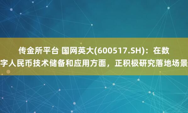传金所平台 国网英大(600517.SH)：在数字人民币技术储备和应用方面，正积极研究落地场景